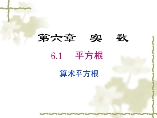 6·1·1算术平方根