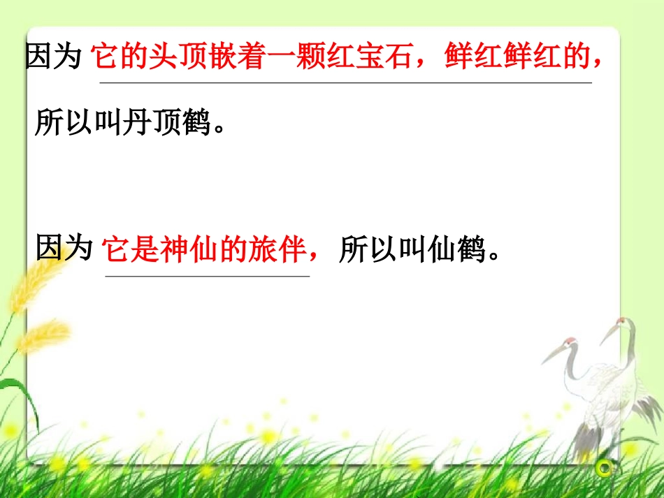 美丽的丹顶鹤_第3页