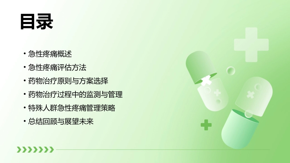 急性疼痛患者的评估与药物治疗管理课件 (2)_第2页
