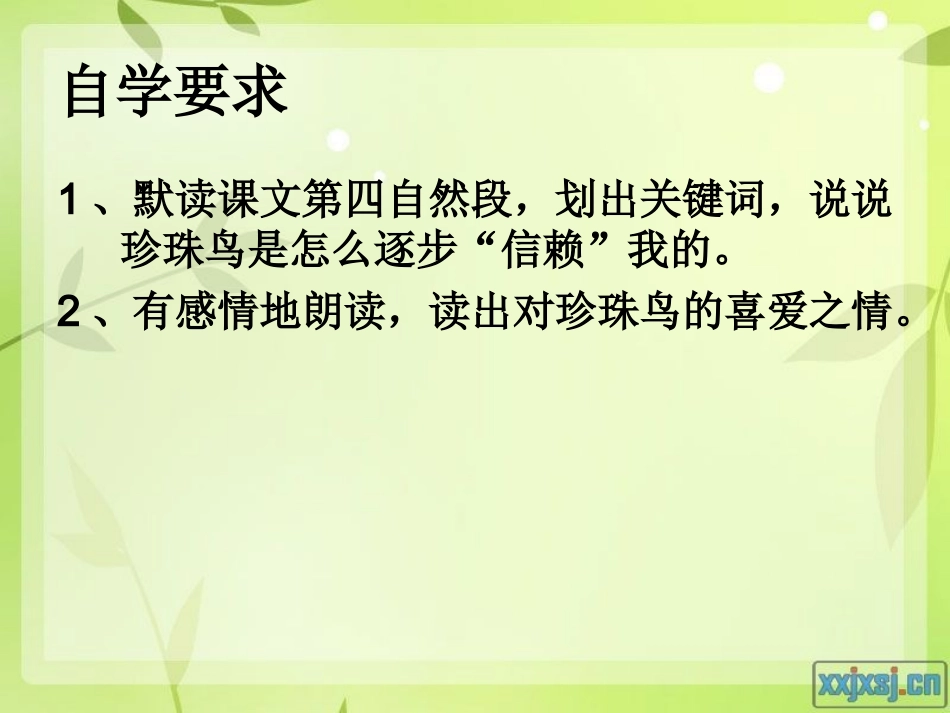 21珍珠鸟第二课时_第3页