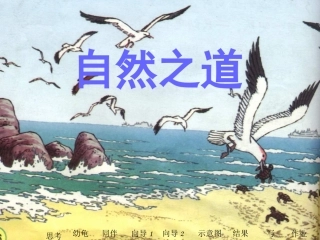 《自然之道》PPT课件