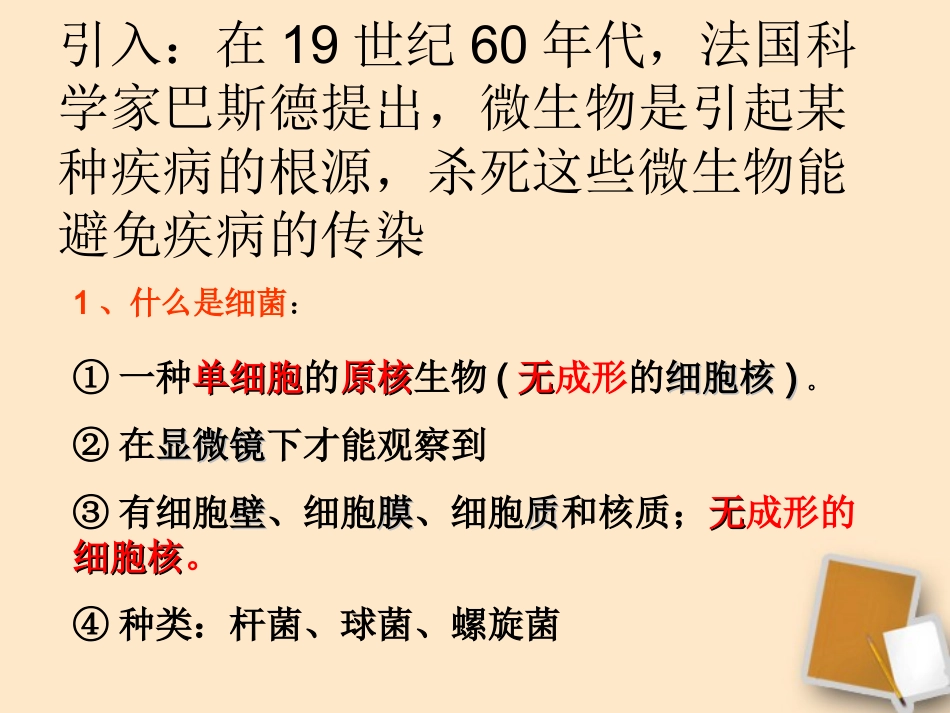 浙江省嵊州市城关中学八年级生物下册《来自微生物的威胁(一)》课件_第3页