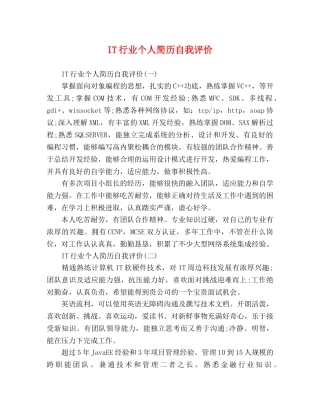 IT行业个人简历自我评价 