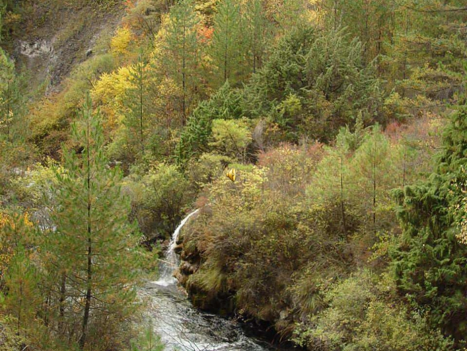 2、《林中小溪》_第2页