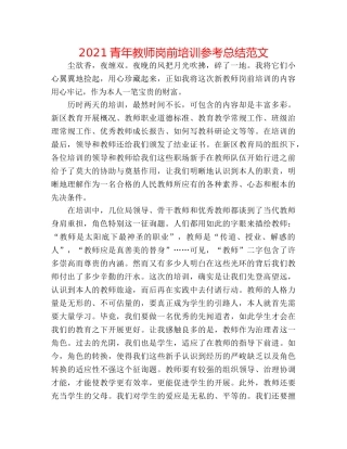 2024青年教师岗前培训参考总结范文 