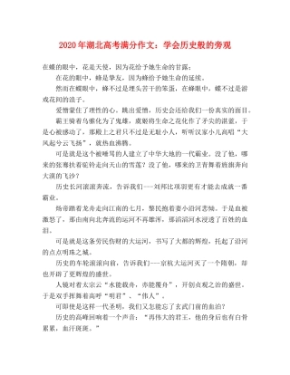 2024年湖北高考满分作文学会历史般的旁观 