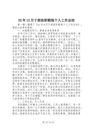 XX年12月干部挂职锻炼个人工作总结