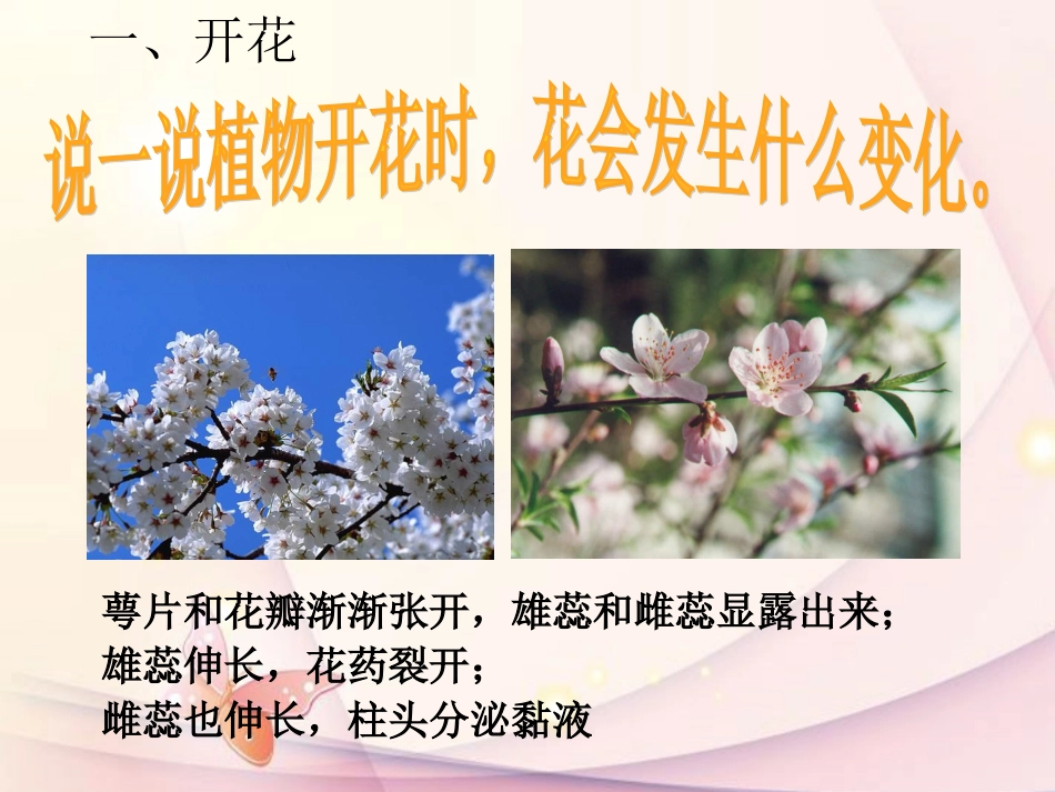 浙江省温岭市城南中学七年级科学下册《3.6-植物生殖方式的多样性》课件2-浙教版_第2页