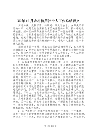 XX年12月农村信用社个人工作总结范文