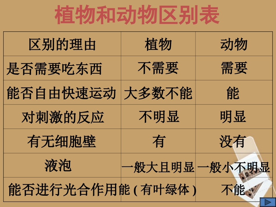 浙江省温州市平阳县鳌江镇第三中学七年级科学上册-第二章复习课件-浙教版_第3页