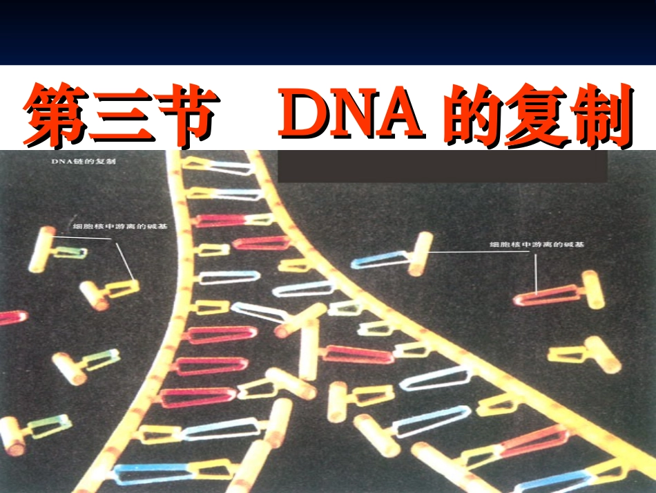 3.4《基因是有遗传效应的DNA片段》课件14-姜微微_第2页