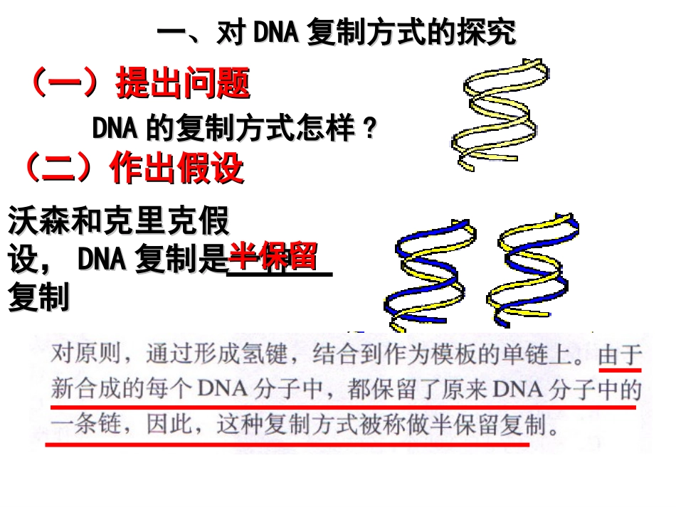 3.4《基因是有遗传效应的DNA片段》课件14-姜微微_第3页