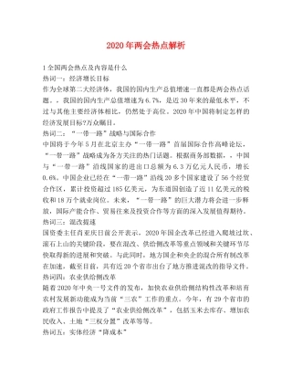 2024年两会热点解析 