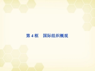 2012届高三政治一轮复习-1.4国际组织概观精品课件-新人教选修3