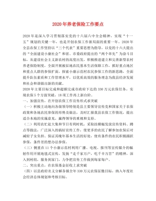 2024年养老保险工作要点 