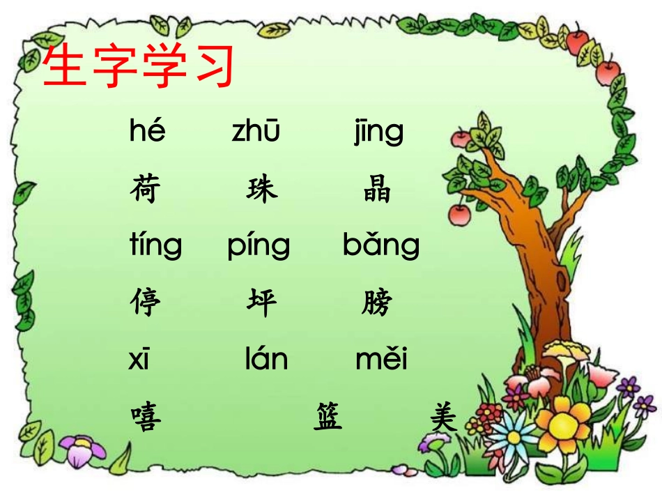 《荷叶圆圆》课件1_第3页