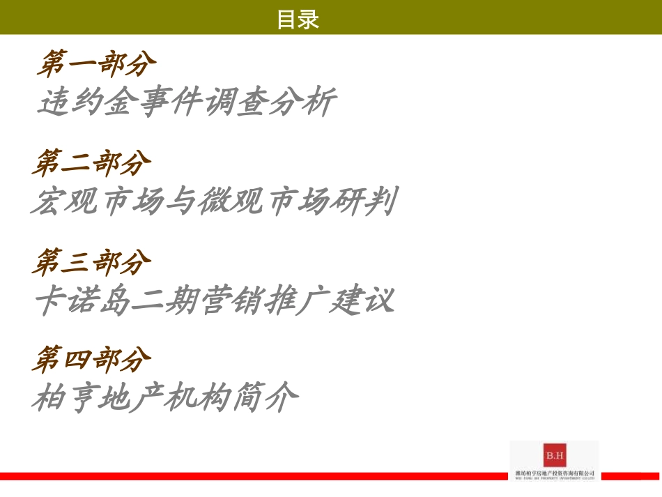 潍坊柏亨——卡诺岛营销诊断及后续策略案_第2页