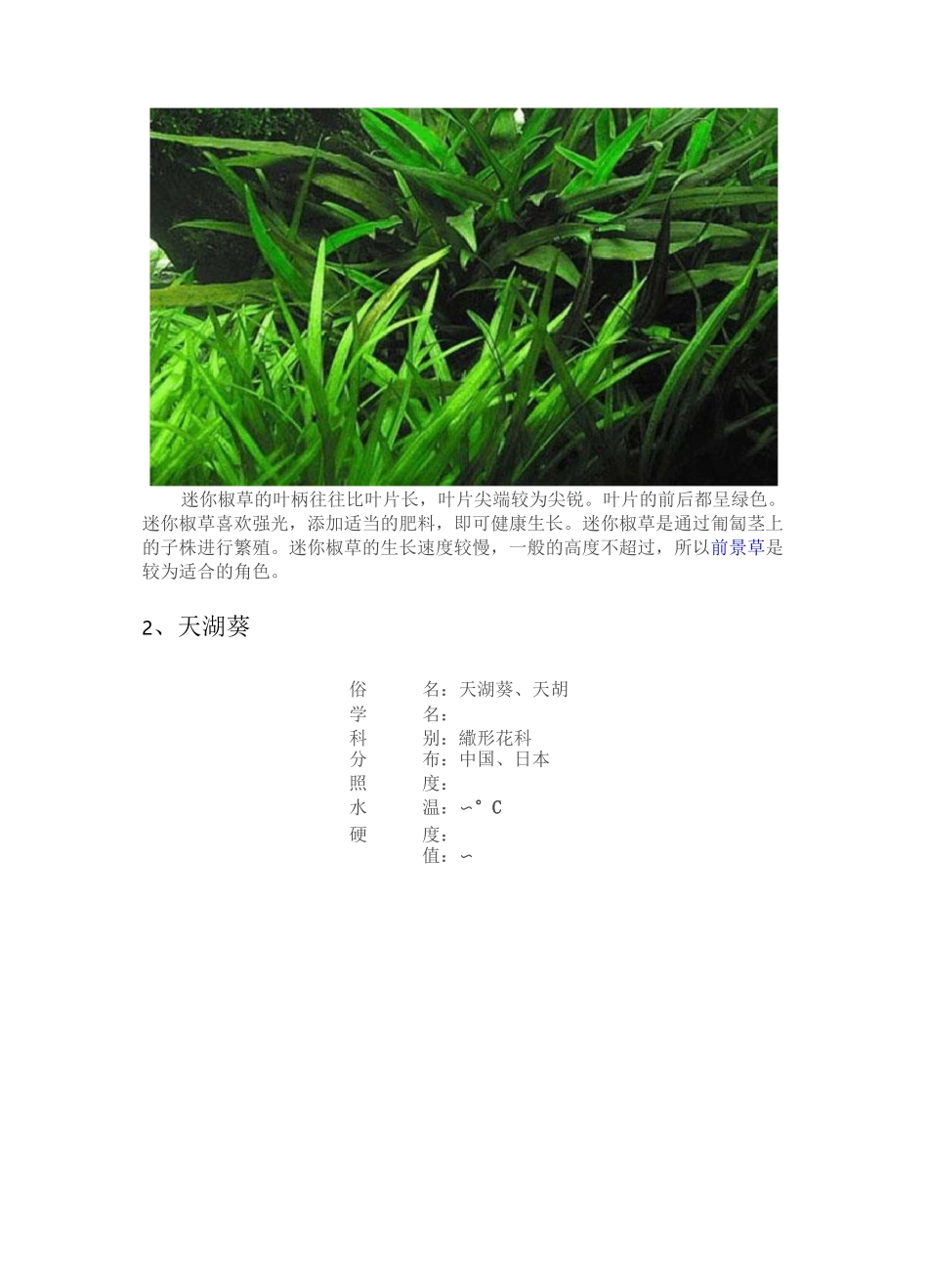 观赏水族——草缸水陆缸造景——水草篇_第3页