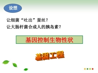 6.2基因工程及其应用