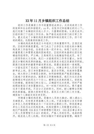 XX年11月乡镇组织工作总结