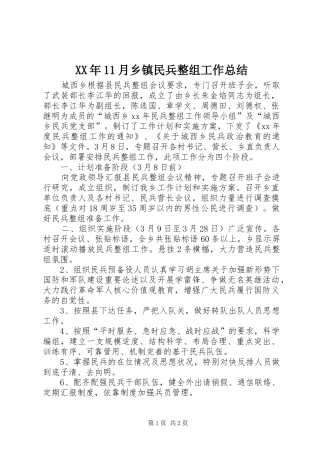 XX年11月乡镇民兵整组工作总结