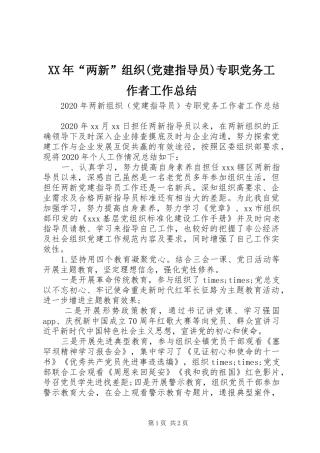 XX年“两新”组织(党建指导员)专职党务工作者工作总结