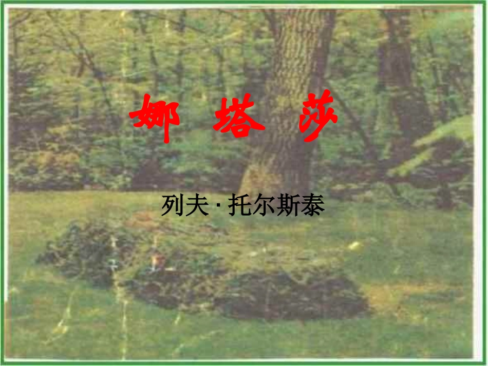 《娜塔莎》ppt课件2.ppt1_第1页