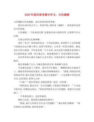 2024年重庆高考满分作文白色翅膀 