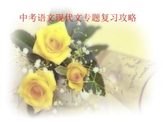 中考语文现代文专题复习攻略