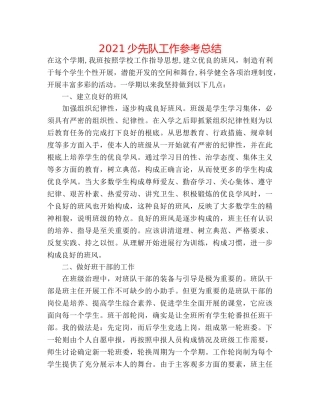 2024少先队工作参考总结 
