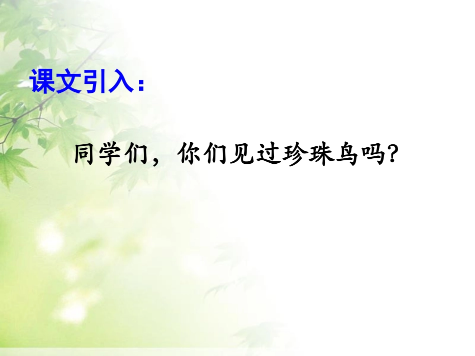 《珍珠鸟》课件1_第2页