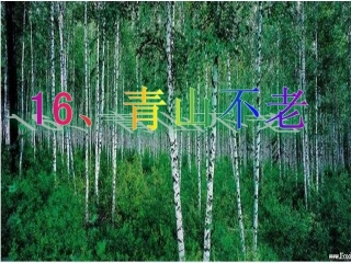 16青山不老--人教版-六年级上-PPT(1)