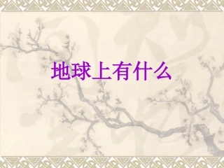 青岛版小学四年级科学下册《地球上有什么》课件-