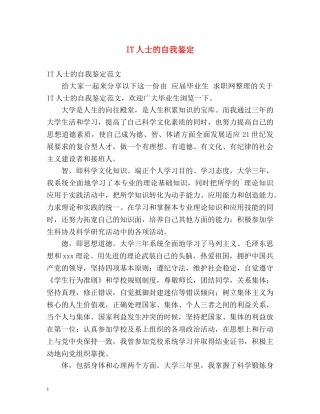 IT人士的自我鉴定 