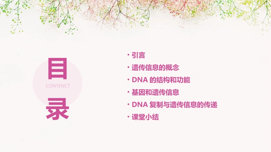 金识源高中生物新人教必修通用课件    遗传信息的携带者_第2页