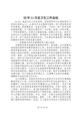 XX年11月县卫生工作总结