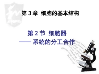b1-3.2细胞器——系统内的分工合作