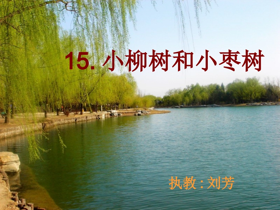小柳树及小枣树ppt1_第1页