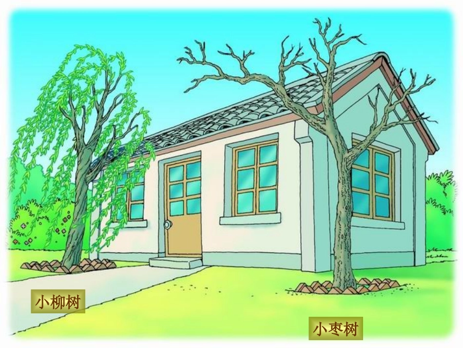 小柳树及小枣树ppt1_第3页