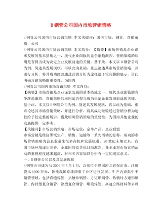 B钢管公司国内市场营销策略 