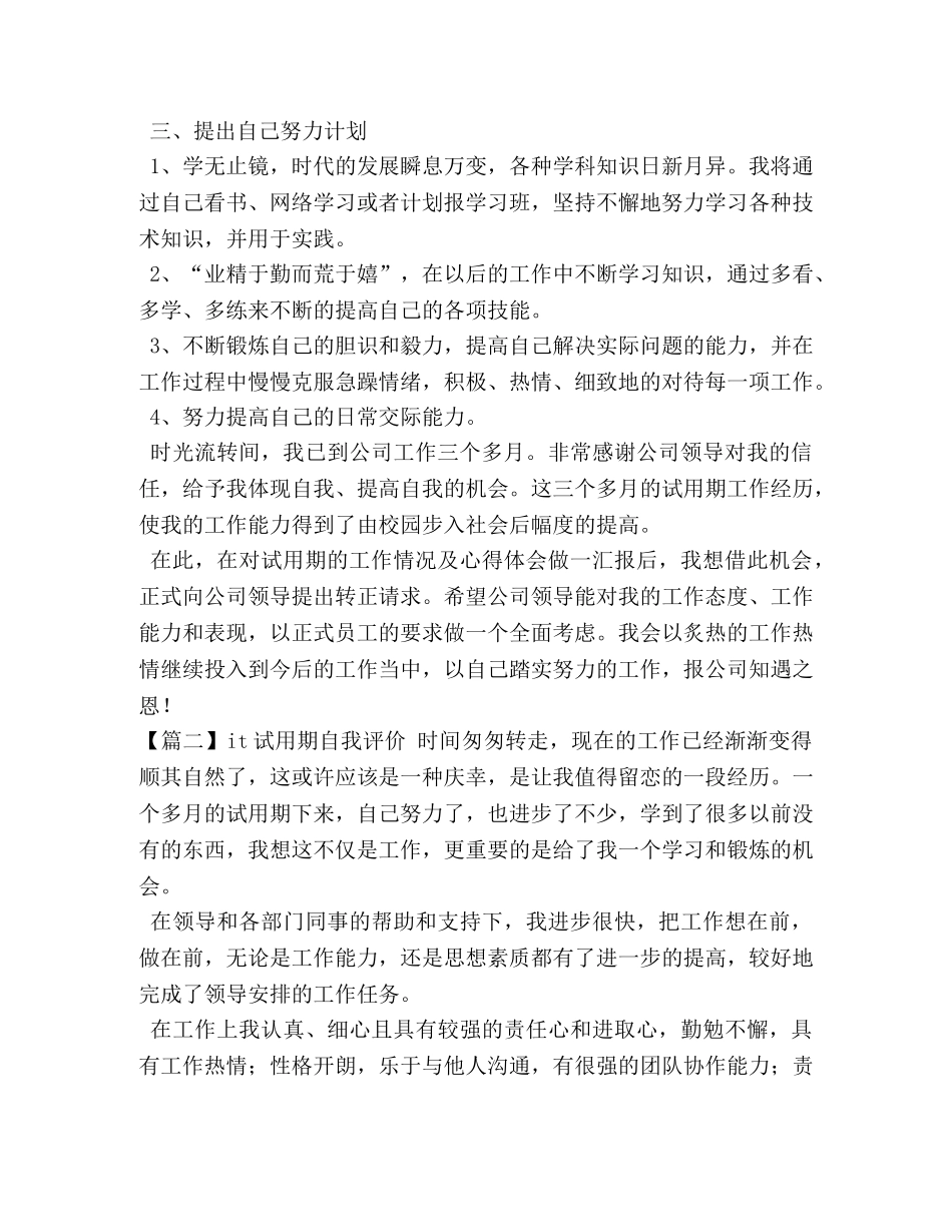 it试用期自我评价 _第2页