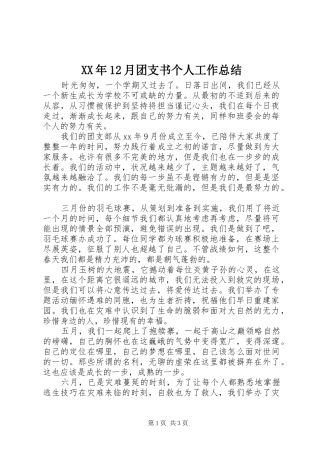 XX年12月团支书个人工作总结