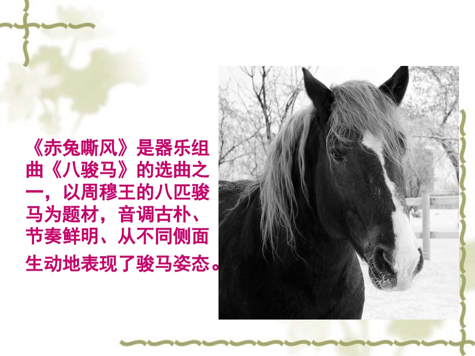 《赤兔嘶风》课件01_第3页