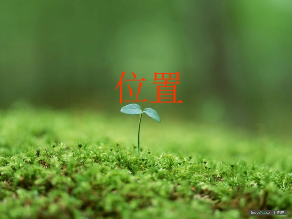 083300-人教版六年级数学上册-位置-PPT课件[1]_第1页
