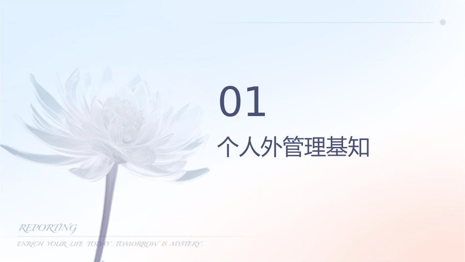 个人外汇管理课件1_第3页