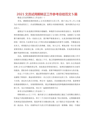 2024文员试用期转正工作参考总结范文5篇 