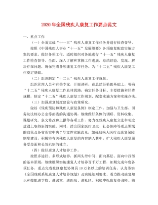 2024年全国残疾人康复工作要点范文 