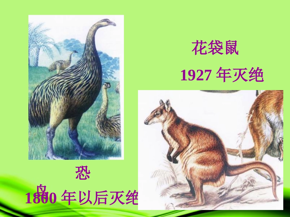 江苏省丹阳市八年级语文《都市精灵》课件1_第2页