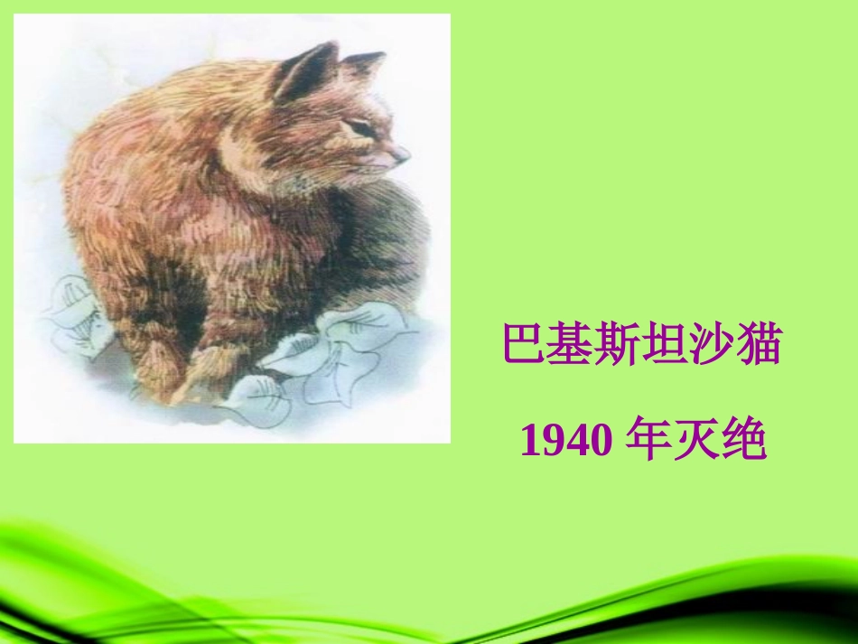 江苏省丹阳市八年级语文《都市精灵》课件1_第3页