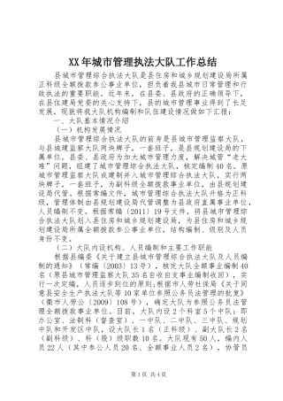 XX年城市管理执法大队工作总结
